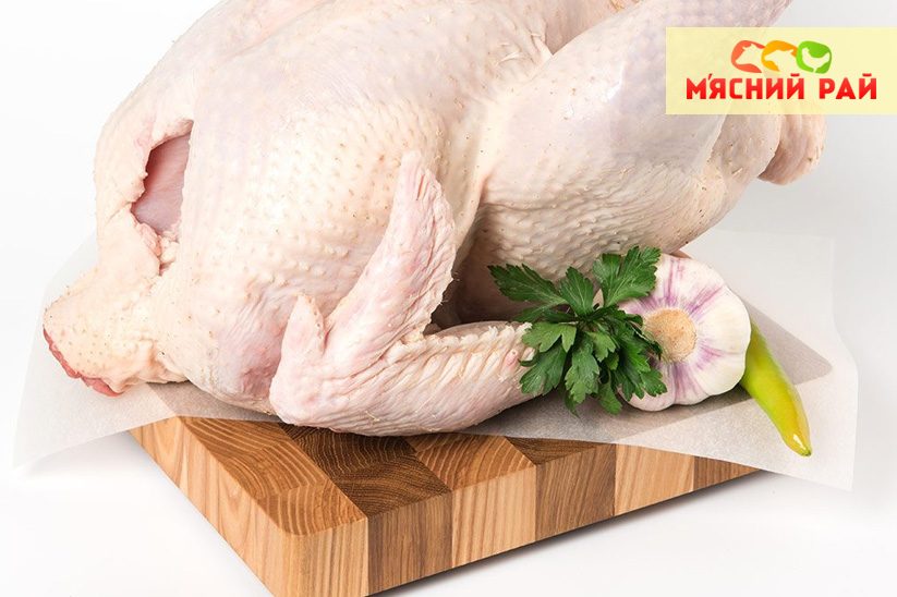 Индейка тушка