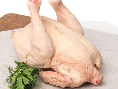 домашня курка