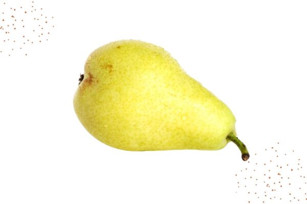 image grusha-pear