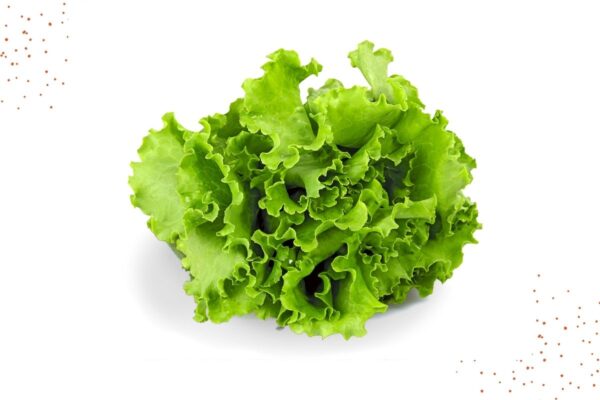 image lettuce lustya salaty 1 kg dostavka v kieve