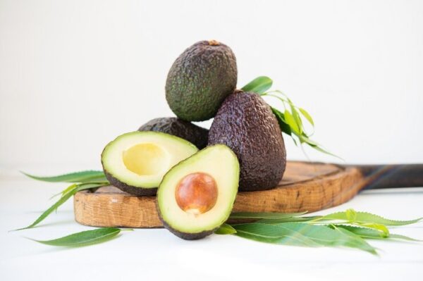 img image avocado avogado haas